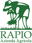 Riso Rapio logo